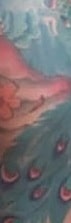 A picture of Peacock Tattoo of Cardi B.